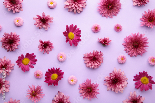 Pink flowers on purple background. Flower composition © Mouse family