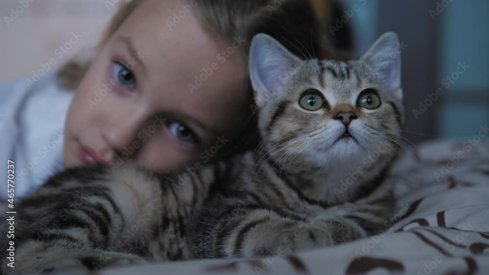 Attractive cute small child girl lying with her tabby kitty cat. Friends spending time together, having fun Attractive cute small child girl lying with her tabby kitty cat. Friends spending time together, having fun