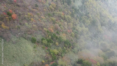 四国カルスト紅葉空撮