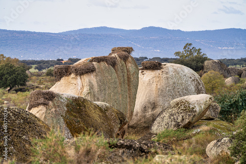 Los Barruecos Natural Monument, Malpartida de Caceres, Extremadura, Spain. © rudiernst