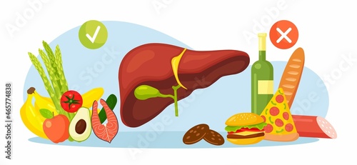 Healthy and harmful foods for human liver, gallbladder. Set of diet, good and unhealthy nutrition. Causes of illness. Greasy Burger, alcohol, pizza, salami and avocado, salmon, fruits, vegetables.