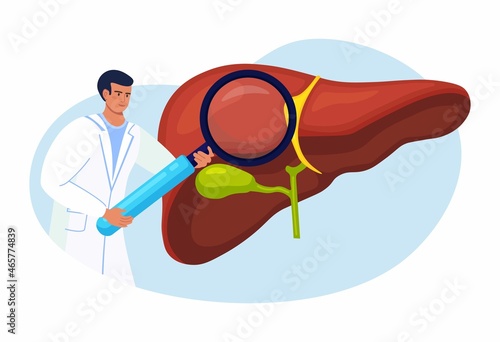Doctor Examining Patient Liver with Magnifier. Medical Research. Physician Diagnosis Liver Disease, Hepatitis A, B, C, D, Cirrhosis, Cancer. Vector design