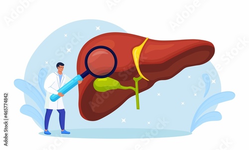 Doctor Examining Patient Liver with Magnifier. Medical Research. Physician Diagnosis Liver Disease, Hepatitis A, B, C, D, Cirrhosis, Cancer. Vector design
