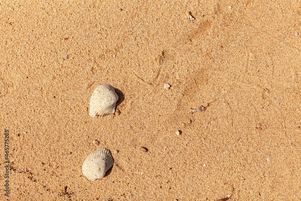 Sand texture. Sandy beach for background. Top view. Natural sand stone texture background. sand on the beach as background. Wavy sand background for summer designs Sand texture. Sandy beach for background. Top view. Natural sand stone texture background. sand on the beach as background. Wavy sand background for summer designs