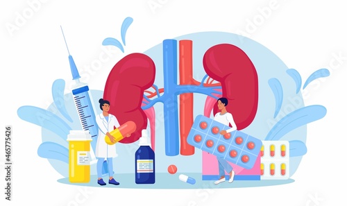 Tiny Doctors doing medical research, examination, check of health. Kidney disease treatment by pharmaceutical. Nephrology, urology. Diagnosis of Pyelonephritis, kidney stones, renal failure, cystitis.
