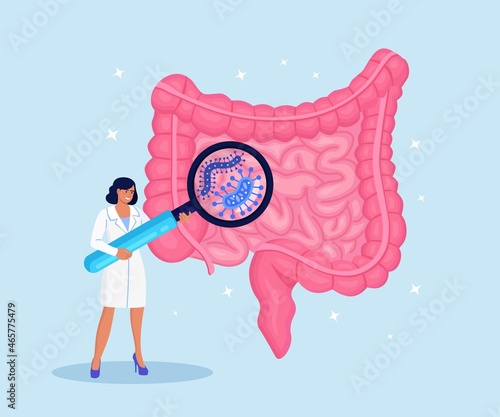 Doctor examining gastrointestinal tract, bowel, digestive system with magnifier. Intestinal inflammation, Enteritis, Colitis, Dysbacteriosis. Intestine health. Gut microorganisms and friendly flora.