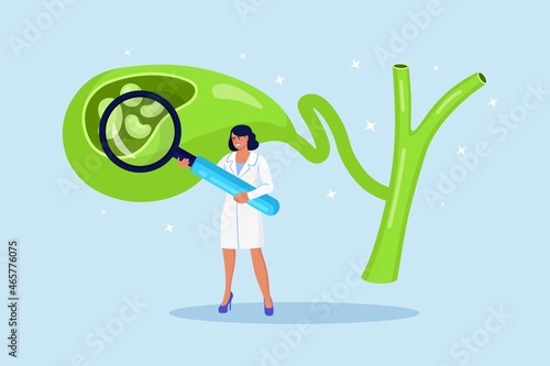 Stones in gallbladder. Gastroenterologist scientist examine gall Bladder with magnifying glass. Doctor treat gallstones. Biliary dyskinesia problems. Cholecystitis laboratory research. Vector design