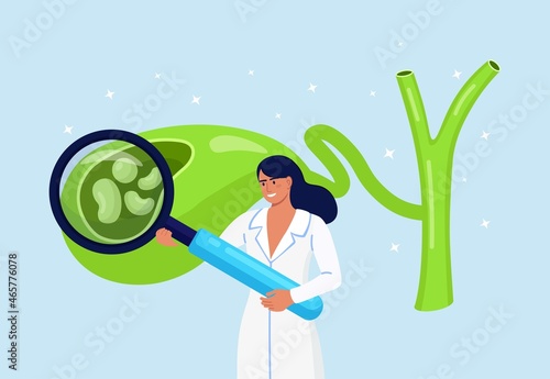 Stones in gallbladder. Gastroenterologist scientist doctor examine gall Bladder with magnifying glass. Doctors treat gallstones. Biliary dyskinesia problems. Cholecystitis laboratory research. Vector 