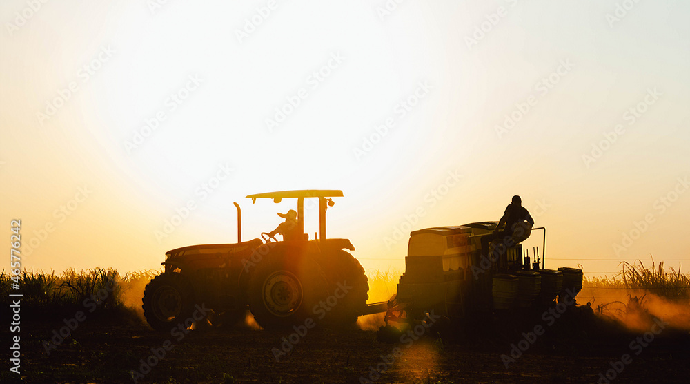 In this photo illustration farm workers work on planting the crop. Agriculture is one of the main bases of the Brazilian economy.
