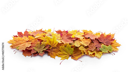 The pile of autumn leaves on the white background.