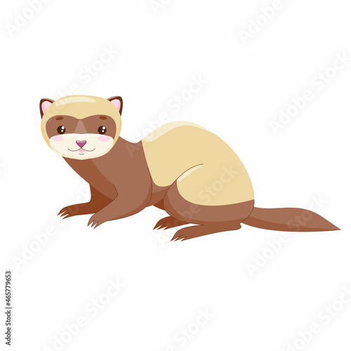 Obraz na płótnie Ferret, polecat, fitch, foumart