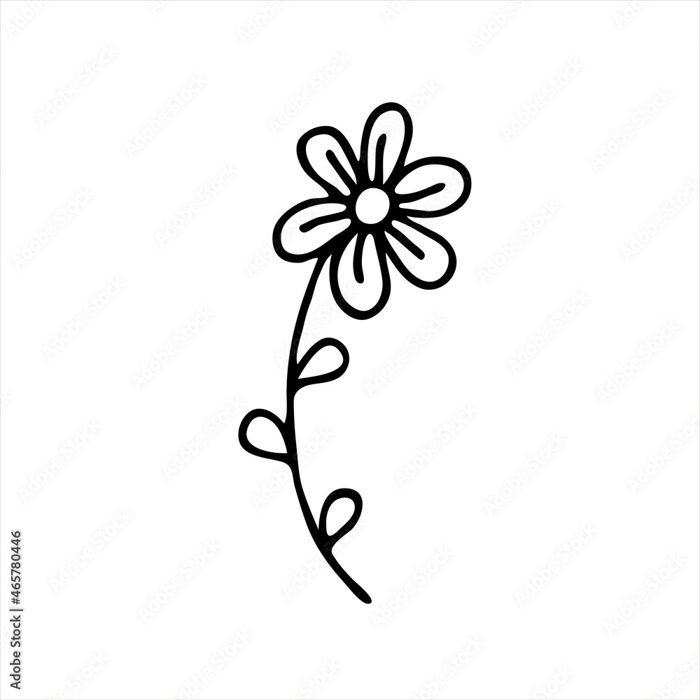 A painted Daisy flower. Doodle style, black outline, drawing with floral floral elements, minimalism. Isolated. Vector illustration. A painted Daisy flower. Doodle style, black outline, drawing with floral floral elements, minimalism. Isolated. Vector illustration.