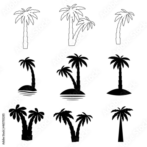 Set tropical palm trees with leaves  mature and young plants  black silhouettes isolated on white background.