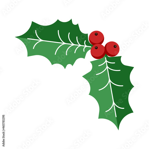 Holly berry leaves Icon