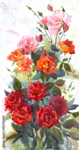 Wallpaper Mural Watercolor Rose summer flowers Torontodigital.ca