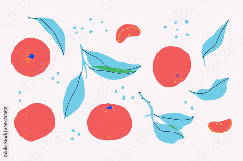 Set of decorative tangerines, slices and leaves. Isolated on white background mandarin. For design.
