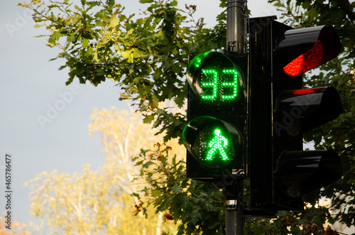 Two traffic lights with red and green timer. Countdown seconds on pedestrian traffic light. Prohibition and permission of movement.