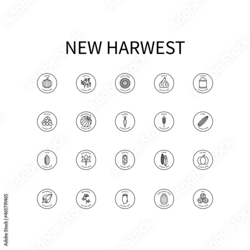 Set of vector icons in simple style, isolated on a white background. Vector sign in a simple style isolated on a white background. Original size 64x64 pixels.