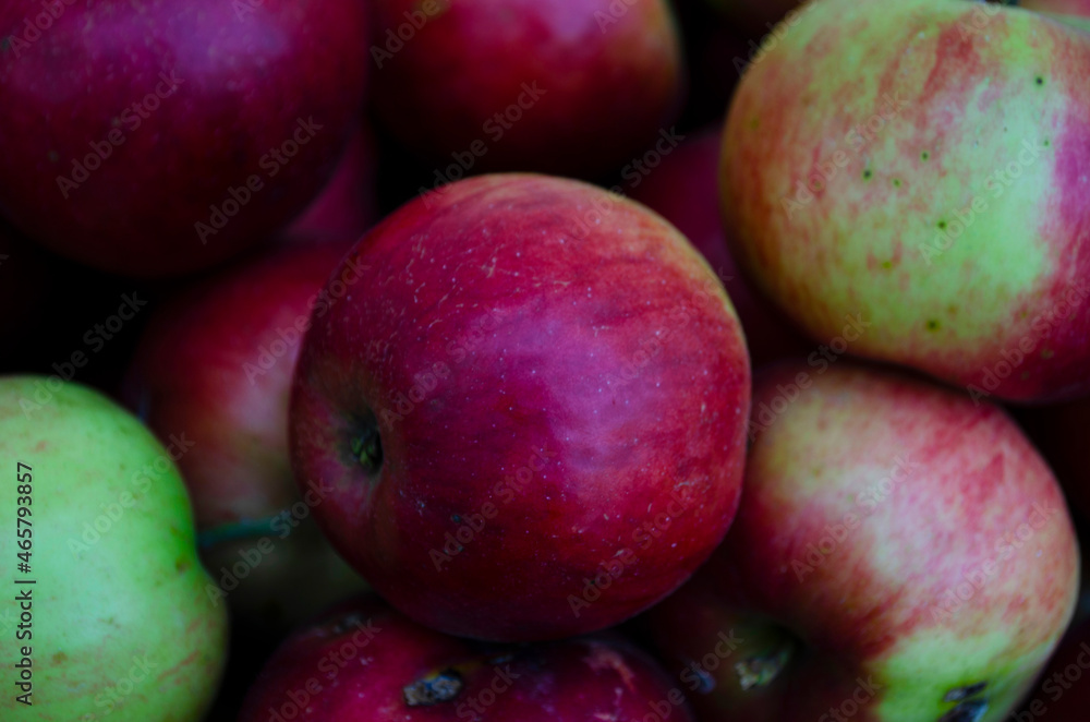 Closeup shot of fresh red and yellow apples Closeup shot of fresh red and yellow apples