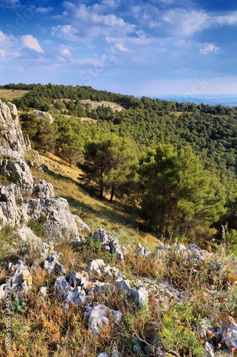 Altopiano delle Murge in Italy photo