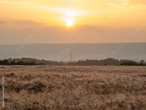 Country landscape on wheat field at sunset