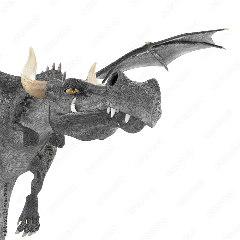Fototapeta premium dragon cartoon in a white background