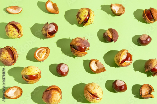 Creative composition made of chestnuts close up on sunlit green background. Nature consept. Falll and autumn theme