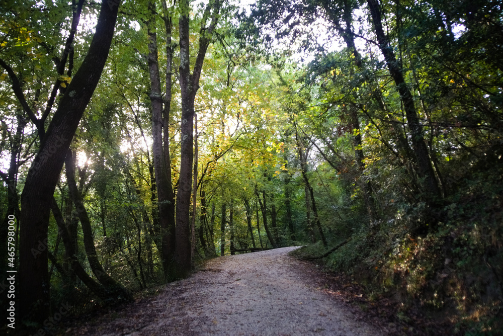 strada per l'eremo delle grotte o eremo dei frati bianchi