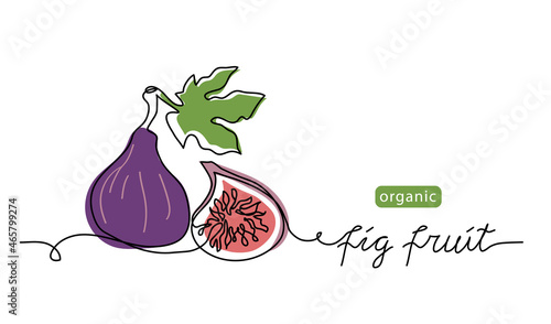 Purple fig fruit vector color illustration, line drawn sketch for label design. One continuous line art drawing with lettering organic fig fruit