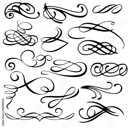 Vector calligraphic design elements. Vintage retro swirls, borders, decorations.