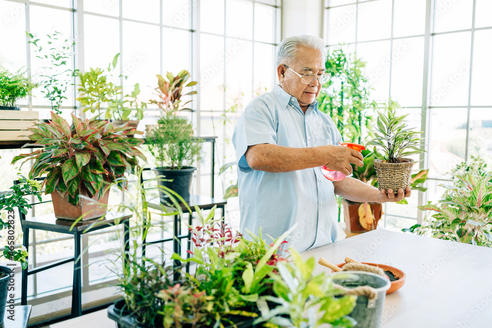 Asian male retired senior love to take care of the plants by spraying water to plants with foggy in the indoor garden. Enjoy retirement activities. Asian male retired senior love to take care of the plants by spraying water to plants with foggy in the indoor garden. Enjoy retirement activities.