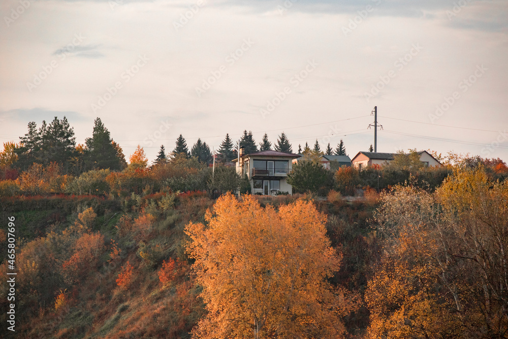 Naklejka premium House on the banks of the river in the trees