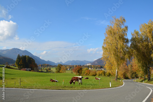 Herbstlandschaft am Wolfgangsee photo