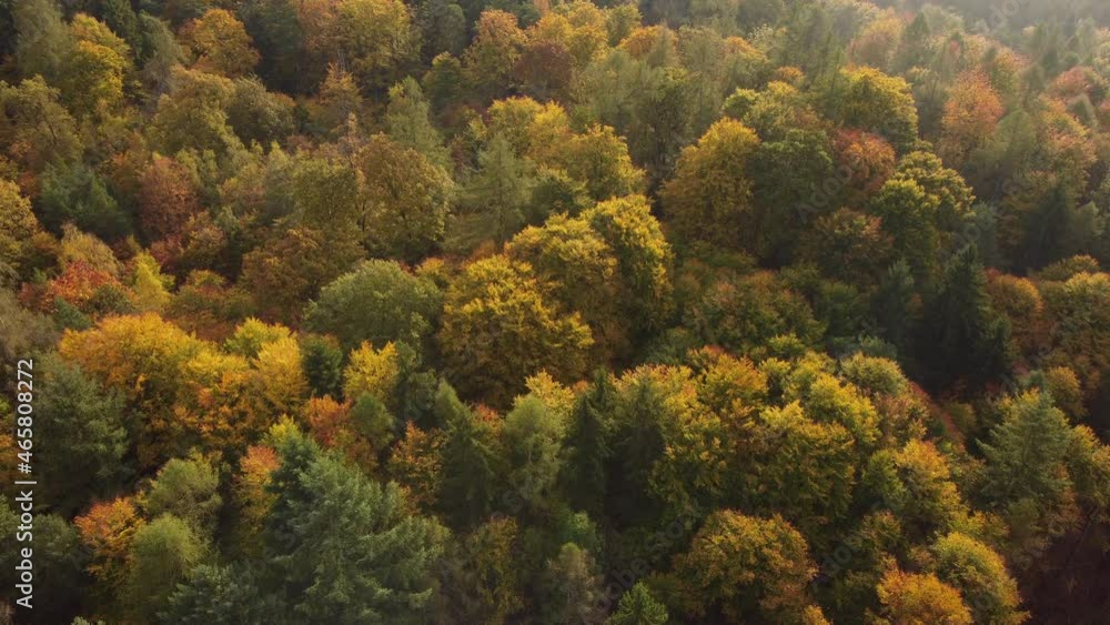 Drohnenaufnahme, Herbstwald mit Morgennebel Drohnenaufnahme, Herbstwald mit Morgennebel