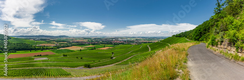 Weinberge im Fränkischen Weinland bei Iphofen