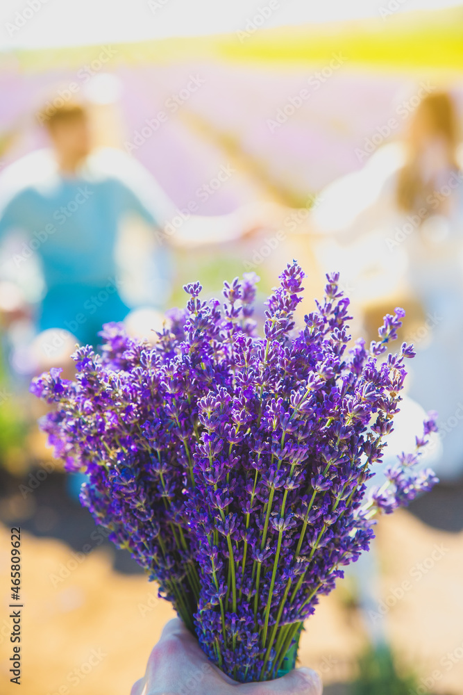Beautiful purple lavender flowers on the summer field. Blurred Couple hugging hands, romantic love story. Warm and inspiration concept. Beautiful purple lavender flowers on the summer field. Blurred Couple hugging hands, romantic love story. Warm and inspiration concept.