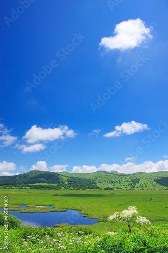 八島ヶ池とシシウドなどの花と霧ヶ峰, 八島ヶ原湿原,下諏訪町,長野県