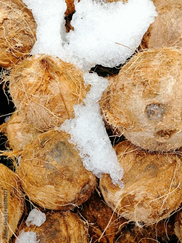 Cocos fr  os agua de coco fr  a