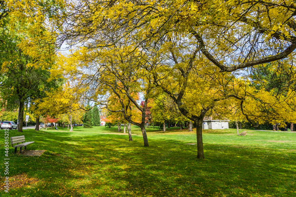 Naklejka premium Autumn At Seattle Park 6