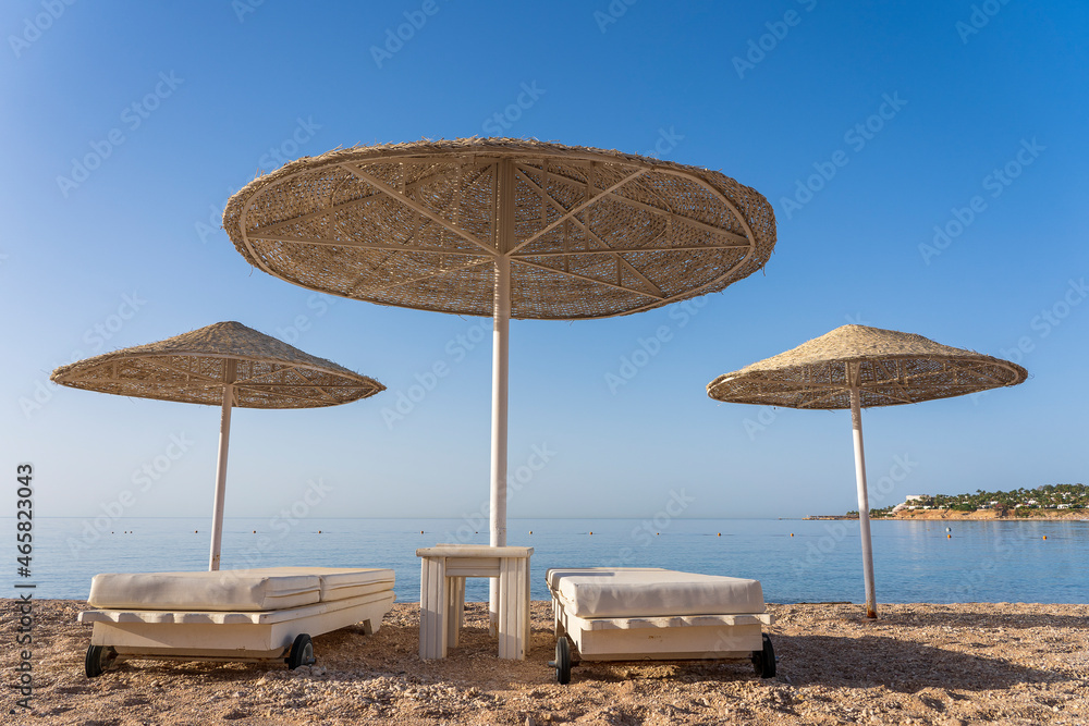 Luxury sand beach with beach chairs and white straw umbrellas in tropical resort in Red Sea coast in Egypt, Africa