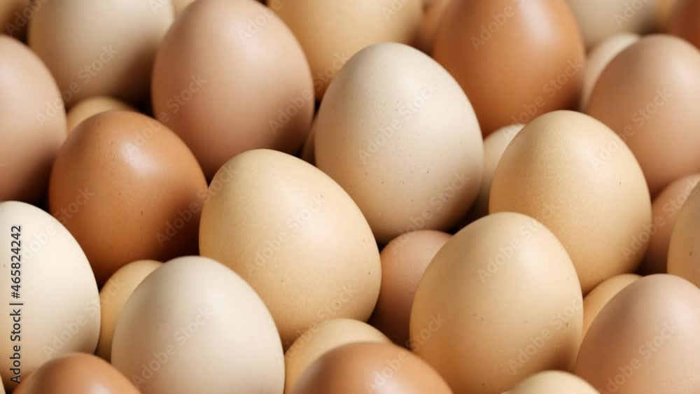 A loop animation of enormous numbers of eggs. Raw hen's eggs. Animal products. A loop animation of enormous numbers of eggs. Raw hen's eggs. Animal products.