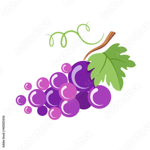 Flat illustration of branch of grapes on white background. Includes berries of purple shades, green leaf and tendrils. Idea for a packing, poster, sticker, children's book, web design and so on.
