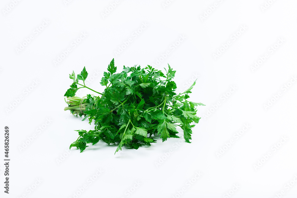 Parsley herb bunch on white background Parsley herb bunch on white background