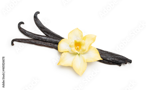 Vanilla pods and orchid flower isolated on white background. Vanilla sticks closeup.