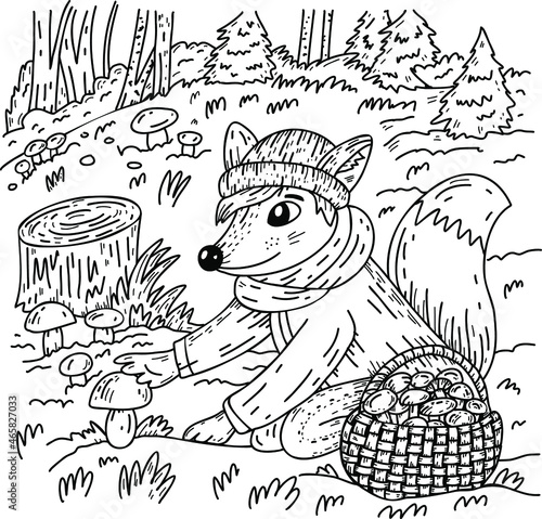 Cartoon fox picking mushrooms in forest . Hand drawn vector doodle style illustration. Black outline sketch for children coloring book.