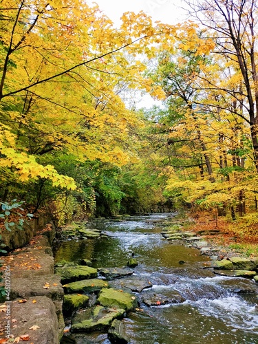 River in the woods & colors of Autumn  .  © I Love Nature!
