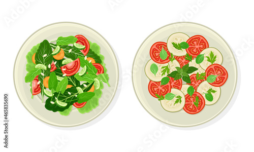 Salad of Green Vegetables and Sliced Tomato and Cucumber as Vegetarian Dish Above View Vector Set