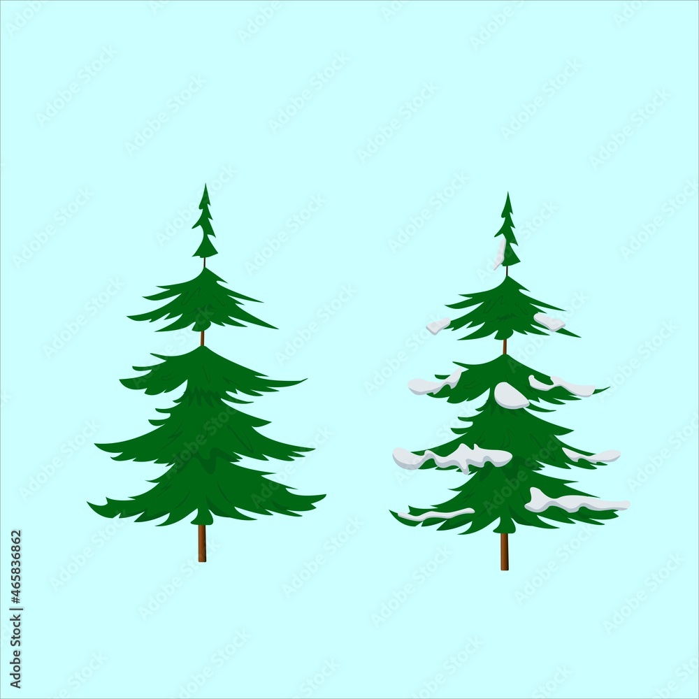 Variant of realistic vector illustration of a green Christmas tree with and without snow isolated on a white background.