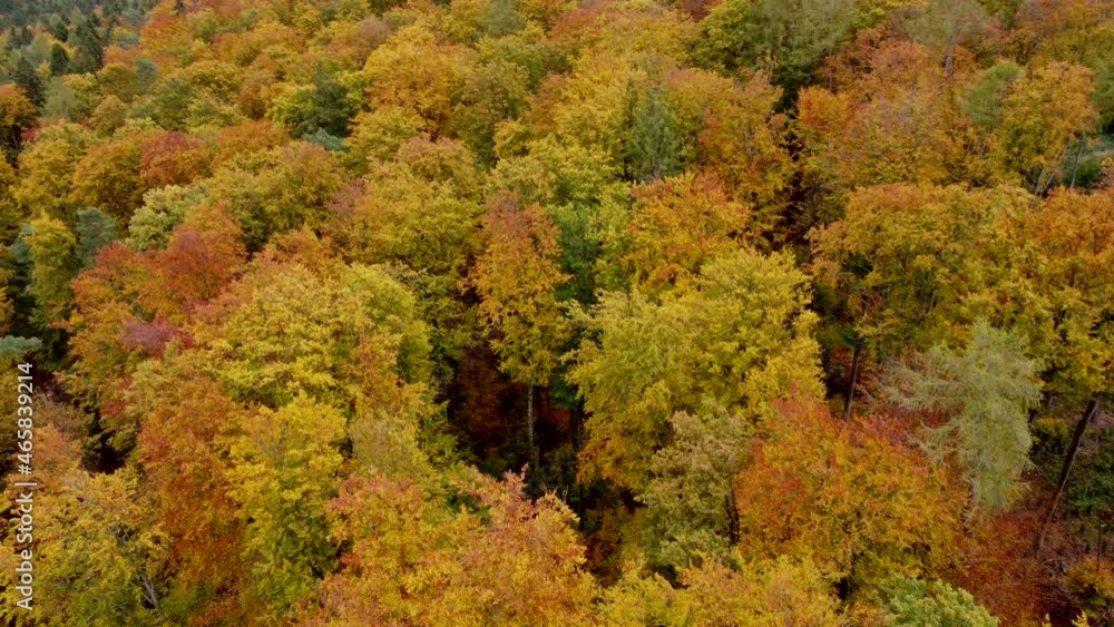 Drohnenaufnahme, Laubwald in Herbstfarben Drohnenaufnahme, Laubwald in Herbstfarben