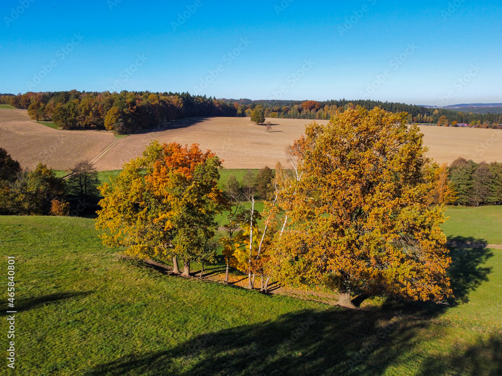 Fototapeta premium Autumn landscape with blue sky